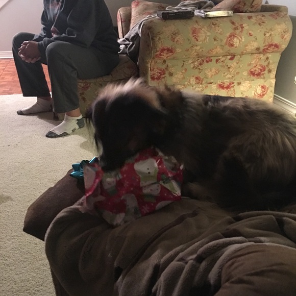 Meet your Posher, Jamie - Picture 1 of 1